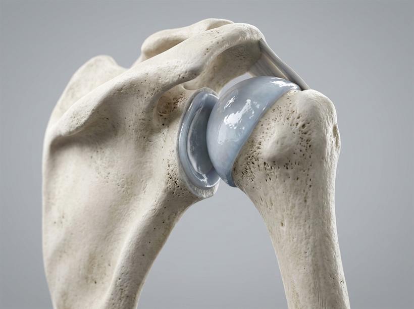 Realistic 3D Medical Rendering of Ball and Socket Joint