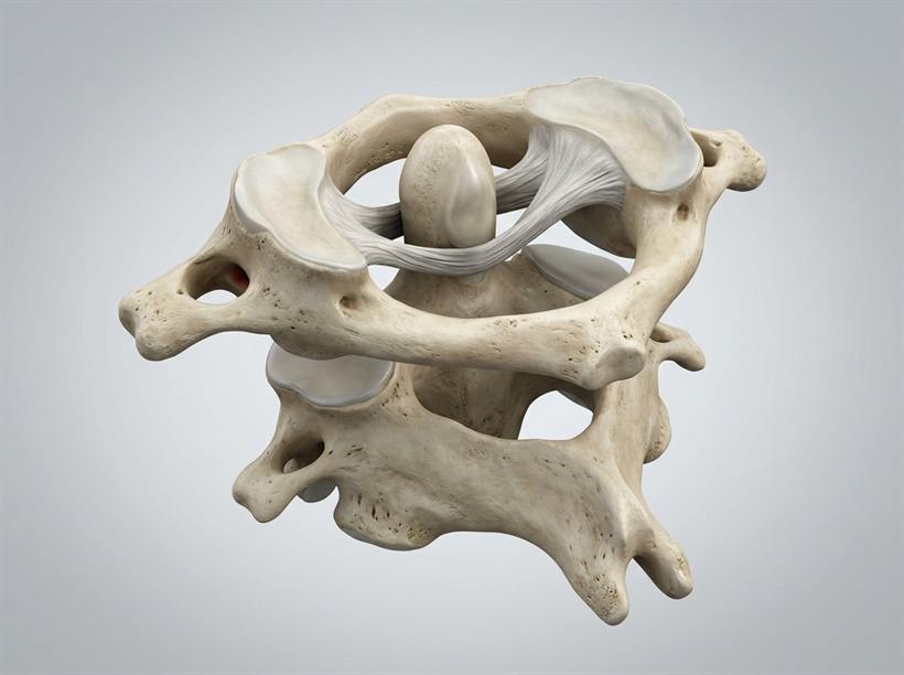Realistic 3D Medical Rendering of Pivot Joint